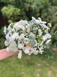 Windsor Box of Blooms *White & Green*