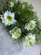 Load image into Gallery viewer, Nigella ~ 10 Stems
