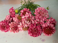 Load image into Gallery viewer, Growers Choice Box of Blooms
