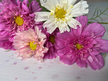 Load image into Gallery viewer, Growers Choice Box of Blooms
