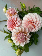 Load image into Gallery viewer, Growers Choice Box of Blooms
