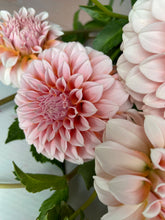 Load image into Gallery viewer, Growers Choice Box of Blooms
