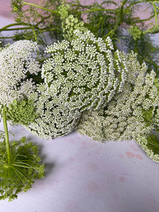 Growers Choice Box of Blooms