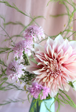 Load image into Gallery viewer, Dahlia ~ Cafe Au Lait ~ 5 Stems
